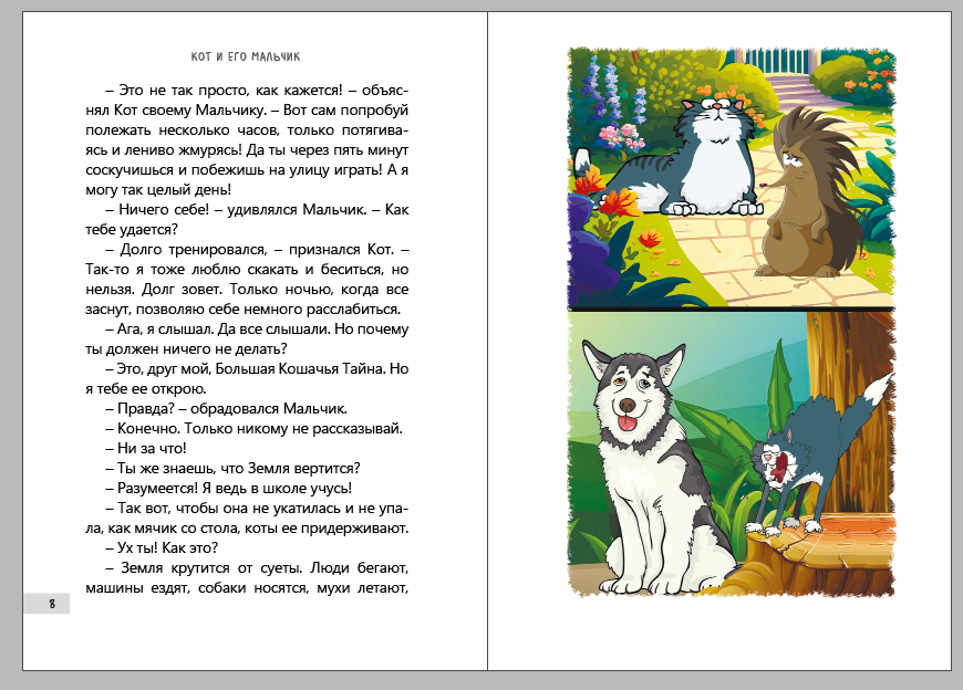 «Кот и Мальчик», концепция бумажной книги
